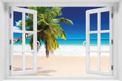 Produktbild von Wallario Poster mit Fenster-Illusion: Südseestrand in der Karibik mit Palme, Größe: 100 x 150 cm