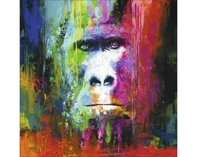 Produktbild von Leinwandbild Original Colourful Gorilla 100x100 cm