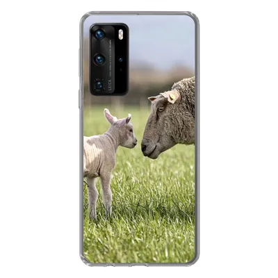 Produktbild von MuchoWow® Handyhülle Schutzhülle Hülle für Huawei P40 Pro Schafe - Gras - Lamm Silikon Softcase Handy Hülle - Schutz