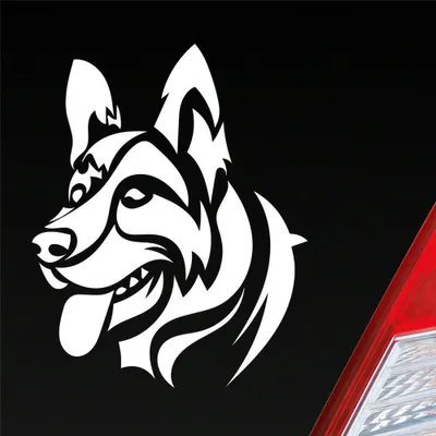 Produktbild von Auto Aufkleber Deutscher Schäferhund Hund Schaeferhund 10x12 cm Weiss Glanz Sticker Heckscheibenaufkleber