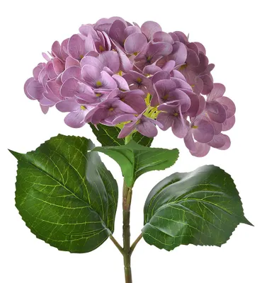 Produktbild von Clayre & Eef Kunstblume Hortensie 67 cm Violett Kunststoff