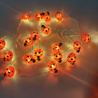 Marienkäfer-Lichterkette 30 LED 9,8 Fuß batteriebetrieben warmweiß
