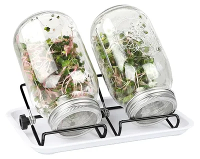 Produktbild von Glasbehälter für die Keimung von Brokkolisprossen
