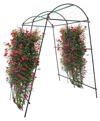 Immagine prodotto di Arco da giardino, arco per rose - Griglia metallica per piante rampicanti - Arco robusto per piante rampicanti - Resistente agli agenti atmosferici - Decorazione da giardino - Nero