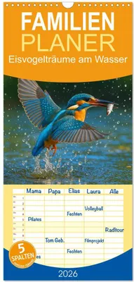 Produktbild von Familienplaner 2026 - Eisvogelträume am Wasser mit 5 Spalten (Wandkalender, 21 x 45 cm) CALVENDO