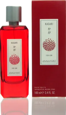 Produktbild von KAGARI FOR HIM edt vapo 100 ml