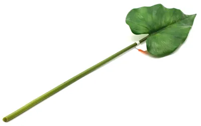 Produktbild von 1 Anthurienblatt künstlich grün ca. 60 cm Deko-Blatt