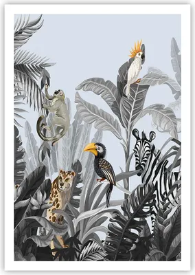 Produktbild von Poster - Poster ohne Rahmen - Dschungel Tiere Tukane - 70x100 cm - Wand Bild - Wanddeko - Wandbilder - Kunstposter - Wandposter - Bilder - Kunstdruck - Wanddekoration - Wandbild - P2XPA70x100-4662