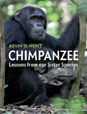 Produktbild von Chimpanzee