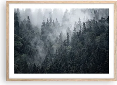Produktbild von Gerahmtes Poster - Rahmen in heller Eiche - Wald Baum Natur - 70x50 cm - Wand Bild - Wanddeko - Wandbilder - Kunstposter - Wandposter - Bilderrahmen - Bilder - Kunstdruck - Wandbild - P2NAA70x50-4074
