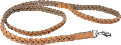Image de Laisse en cuir tresse pour chien