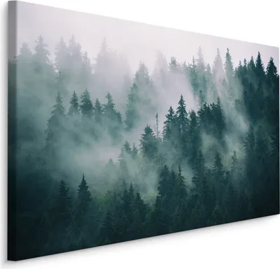 Obrázek produktu pro Obraz na plátně LAS WE MGLE Krajina 3D 30x20cm
