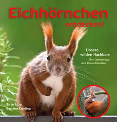 Image de Eichhörnchen entdecken!