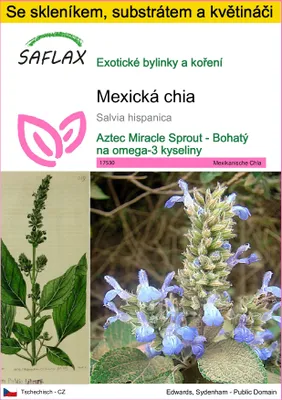 Obrázek produktu pro SAFLAX Kultivační sada - Mexická chia - Salvia hispanica - 500 Semena - S mini skleníkem, pěstebním substrátem a 2 květináči