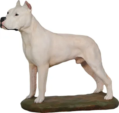 Produktbild von Argentinische Dogge, Dogo Argentino - bemalte Figur, Statue, Skulptur, vom Künstler hergestellt, Marke Art-Dog