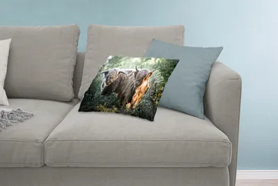 Produktbild von MuchoWow® Zierkissen Sofakissen Wohnzimmer Dekokissen 60x40 cm Schottische Hochlandrind - Wald - Tiere - Kopfkissen - Polster mit Foto