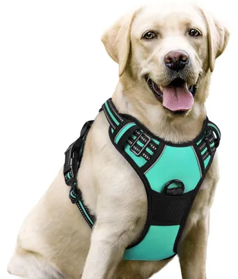 Immagine prodotto di Imbracatura per cani antistrappo, colore verde menta con riflettore