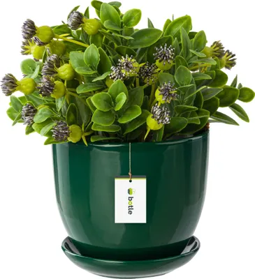 Produktbild von Keramiktopf Pflanztopf Blumenchale Übertopf Pflanzkübel handbemalt D 130 mm grün Keramik inkl. Untersetzer Wasserablaufloch