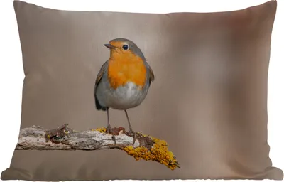 Produktbild von MuchoWow® Outdoor Kissen - Rotkehlchen - Vogel - Zweig - Tiere - 50x30 cm - Wetterfest - Lounge Kissen - Sofa kissen - Wohnzimmer Dekoration