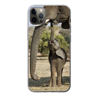 Produktbild von MuchoWow® Handyhülle Schutzhülle Hülle für iPhone 13 Pro Max Elefant - Tiere - Gras - Natur Silikon Softcase Handy Hülle - Mobiltelefon