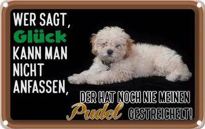 Produktbild von vianmo Blechschild 12x18 cm Glück nicht anfassen Pudel Hund Spruch Zitat