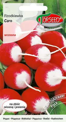 Produktbild von Caro Rettich Samen 10g - Torseed