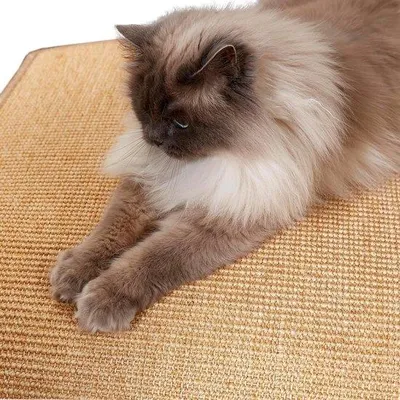 Image de Tapis à griffer pour chats - Tapis en sisal naturel - Tapis à griffer en sisal - 40 x 60 cm Tapis en sisal naturel pour chats
