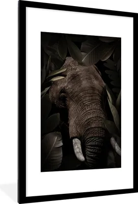 Produktbild von MuchoWow® MuchoWow® Gerahmtes Poster Elefant - Dschungel - Pflanzen 60x90 cm - Poster mit zchwarzem Bilderrahmen - Dekoration - Wandposter Wohnzimmer - Hochwertig
