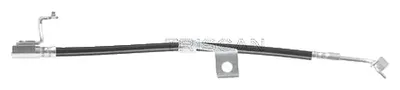 Image de Flexible de frein 450 mm F10x1 & banjo TRISCAN pour FORD ESCORT, entre autres