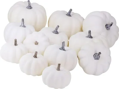 Image de 12pcs c��risseaux artificiels blancs Différents sch��tt de la table décor vivant pour All Hallows Day automne Harvest Party Thanksgiving