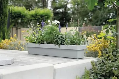 Produktbild von Blumenkasten geli VIVA Kunststoff 98 x 21,2 x 17,1 cm betongrau inkl. Erdbewässerungsystem