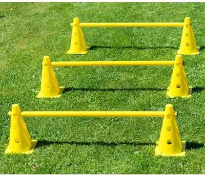 Produktbild von PROCYON Dog Agility Mini Pylonen-Hürden - 3 Stück