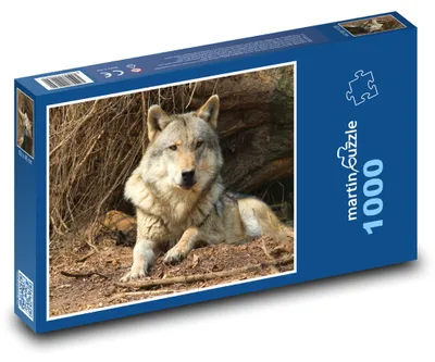 Obrázok produktu pre Puzzle 1000 Vlk v divočine - martinpuzzle