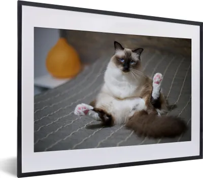 Produktbild von MuchoWow® MuchoWow® Gerahmtes Poster Katze - Fell - Braun 40x30 cm - Poster mit zchwarzem Bilderrahmen - Bilderrahmen - Poster im Rahmen