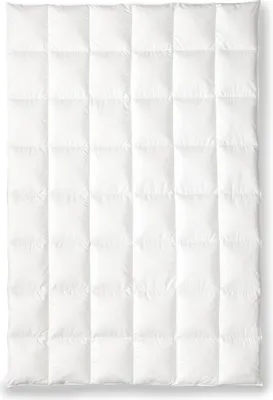 Produktbild von OBB Black Forest  Ganzjahresdecke Birta 200x200 cm, Gänsedaunen-Kassettendecke