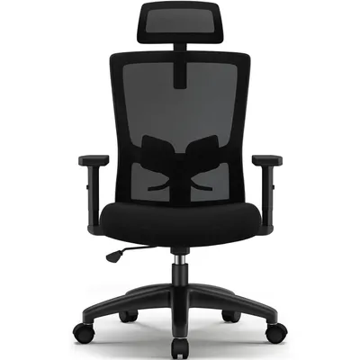 A black ergonomic office chair with a headrest and mesh back, shown from the front on a white background.