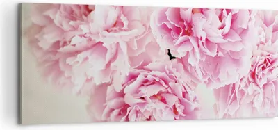 Produktbild von Bild auf Leinwand - Leinwandbild - Einteilig - Pfingstrosen Blumenstrauß Blumen - 100x40cm - Wand Bild - Wanddeko - Wandbilder - Leinwanddruck - Bilder - Wanddekoration - Leinwand bilder AB100x40-4961