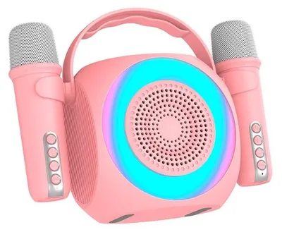 Bluetooth-Lautsprecher 6 W, Karaoke mit 2 Mikrofonen, rosa
