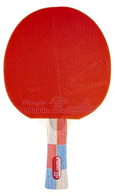 Obrázok produktu pre Stolnotenisová raketa inSPORTline Shootfair S7