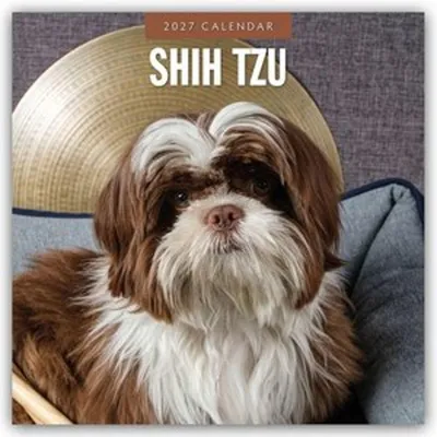 Produktbild von Shih Tzu 2027 - 16-Monatskalender