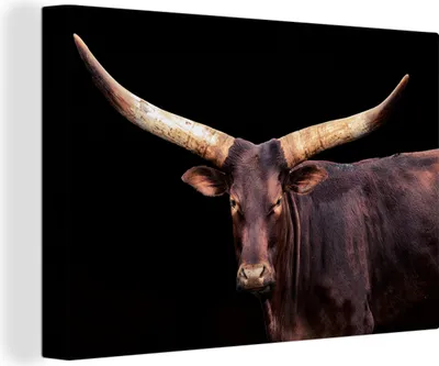 Obrázok produktu pre OneMillionCanvasses® - Plátno - 140x90 cm, Krava - Watussi - Čierna, nástenné umenie Print Wall Decoration