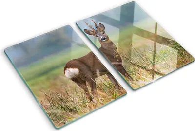Produktbild von Tulup Glas Herdabdeckplatte - 2x40x52 cm - Glaskeramikkochfeld-Abdeckung Spritzschutz Glasabdeckplatte Kochplattenabdeckung und Schneidebrett - Zweiteilig - Tiere - Reh - Braun