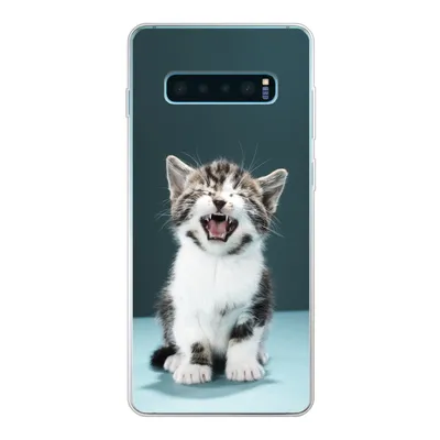 Produktbild von MuchoWow® Handyhülle Schutzhülle Hülle für Samsung Galaxy S10 Plus Katze - Kätzchen - Miau Silikon Softcase Handy Hülle - Schutzhülle