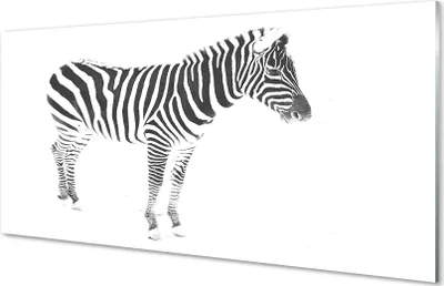 Produktbild von Glasbilder 140x70 Wandkunst painted Zebra