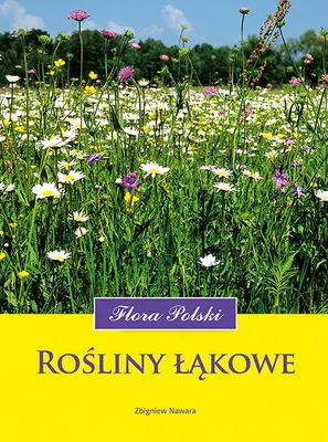 Produktbild von Rośliny łąkowe wyd. 2023
