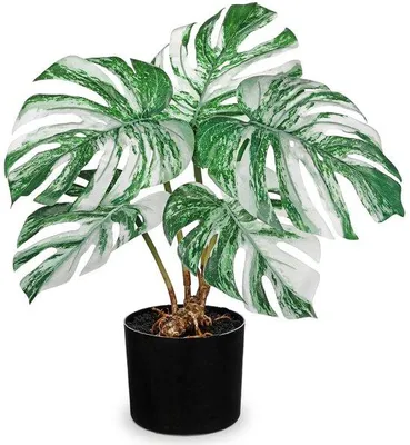 Obrázok produktu pre Umelá rastlina Monstera – zelená – samostatný kus – 49 cm