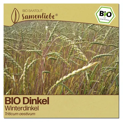 Produktbild von Samenliebe  Dinkel Samen | Winterdinkel - winterhart - samenfestes  Saatgut