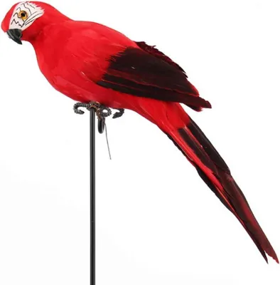 Imagen del producto de Loro de plástico, color rojo, 35 cm, decoración para jardín
