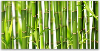 Produktbild von Tulup Leinwand-Bilder 140x70 Wandbild Canvas Kunstdruck Bambusrohre Pflanzen