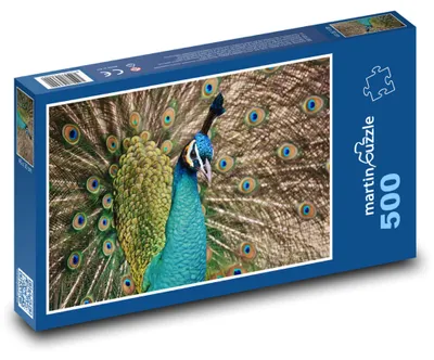 Obrázek produktu pro martinpuzzle - Puzzle 500 - Páv - pávice